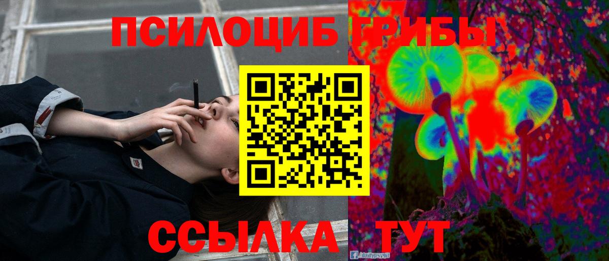как найти наркотики  Вход с VPN  Алексеевка  Галлюциногенные грибы прущие грибы 